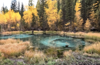 Goldener Herbst / ***