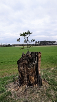 Leben / ***