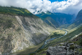 Tal Chelushmana / ***