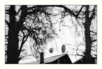 Der Geruch von Frühling / ***