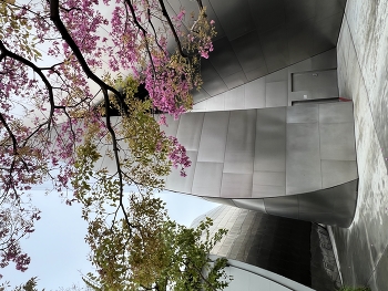 Spring / Blooming tree in front of the all-metal structure