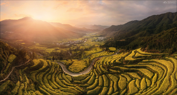 Platz an der Sonne / ***