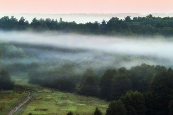 Auf einem Waldweg / ***