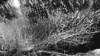 Leben rund um / ***