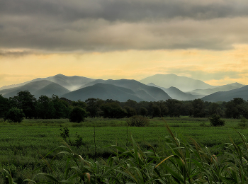 Morgendämmerung in den Bergen / ***