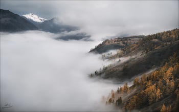 Parallelwelten / ***