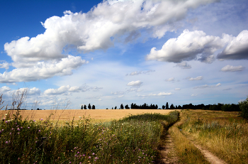 Weite des Sommers / ***