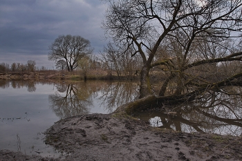 Frühlingssturm / ***
