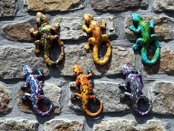 Reus - llangardaixos ceràmica - Baix Camp / Reus - llangardaixos ceràmica - Baix Camp