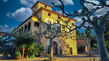 Reus - bodegues Muller (Mas de Valls) - Baix Camp / Reus - bodegues Muller (Mas de Valls) - Baix Camp