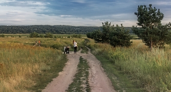 in der Nähe von Moskau am Abend / ***