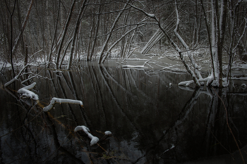 Am Rande des Sumpfes. / ***