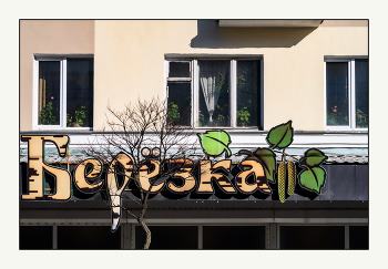 Der Geruch von Frühling / ***