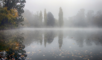 Ghostly alle / ***