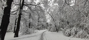 Moskau Schneefall / ***