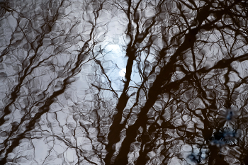 Bewegung / ***