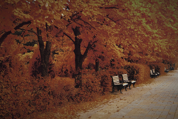 Goldener Herbst / ***