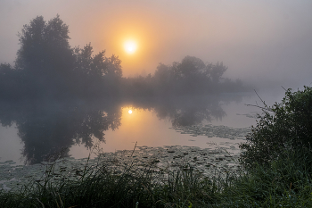 Im Nebel. / ***