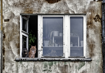 Fenster zur Welt / ***