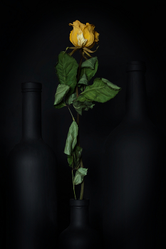 ... Dry ... / ***