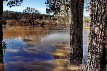 Hohe Wasser / ***