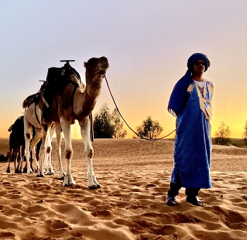 Sunset in the desert / A caravan returning home at sunset