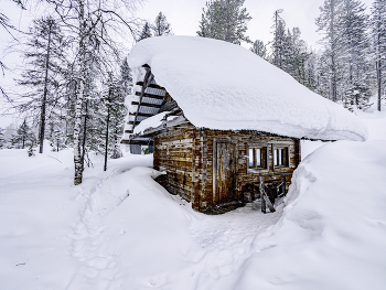 Cottage / ***