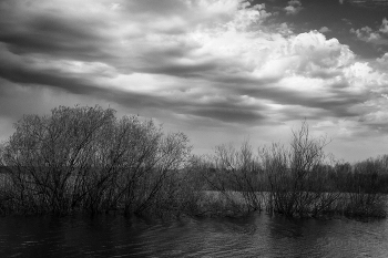 Auf dem See / ***