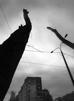 Dialog / ***