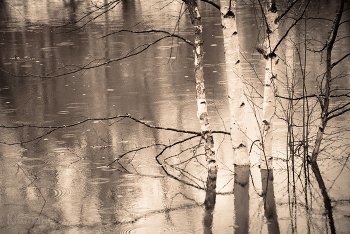 Hohe Wasser / ***