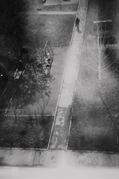 Frühling / ***