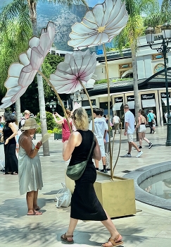 Summer in Mote Carlo / City center