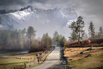 Tsvirmi Misty Road / ***