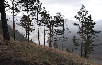 Es ist Zeit, Nebel / ***