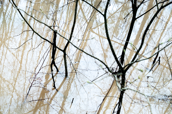 Geometrie / ***