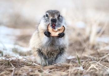 lecker! / ***