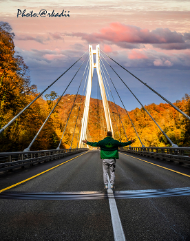 Bridges / ***