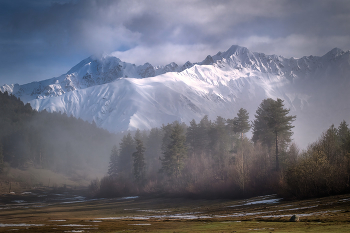 Forest And Mountains / ***