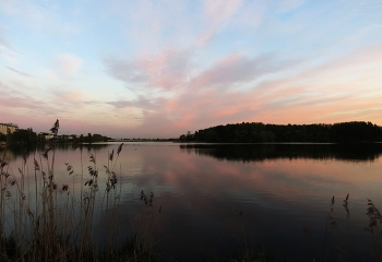 Am Ende des Tages / ***