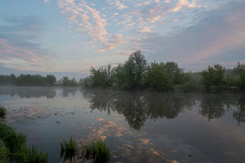 Morgen auf dem See. / ***
