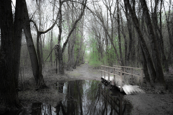Wanderung / ***