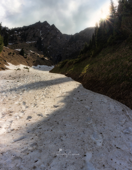 &nbsp; / ***