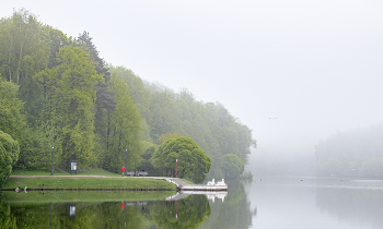 Nebel zerstreut / ***