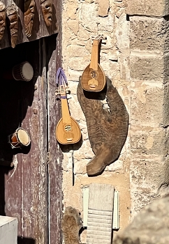 Music instruments shop / A music instrument shop in Morocco