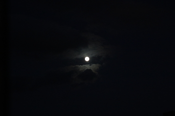 Mond / ***