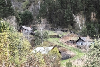 Sibirische Hinterwäldler / ***