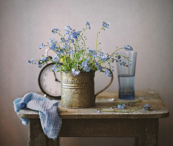 Mit dem forget-me ... / ***