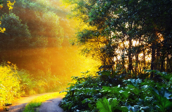 zum Drehen der Sonne / ***