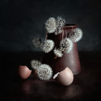 vanitas / ***