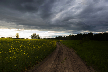 Die Straße / ***